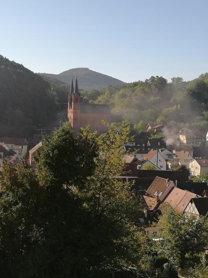 Hotel Am Hirschhorn - Wellness - Spa - And More Wilgartswiesen Экстерьер фото